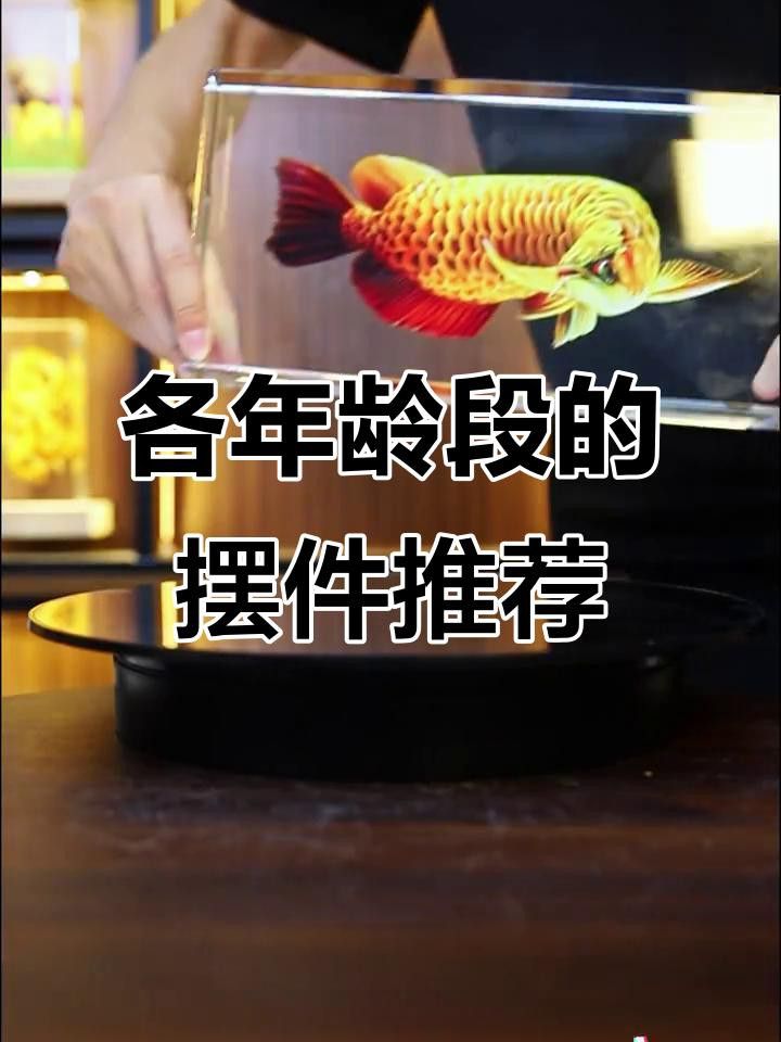 龍魚送人時如何搭配其他禮物？