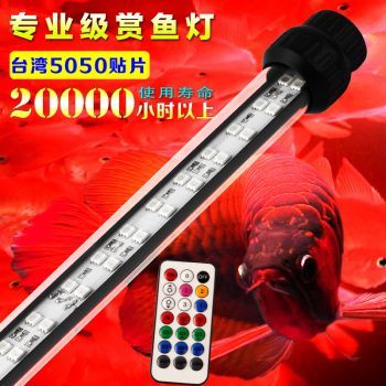 紅龍魚缸燈最佳擺放位置：紅龍魚缸燈最佳擺放位置紅龍魚缸燈最佳擺放位置 紅龍魚缸燈最佳擺放位置：紅龍魚缸燈最佳擺放位置紅龍魚缸燈最佳擺放位置 龍魚百科 第2張