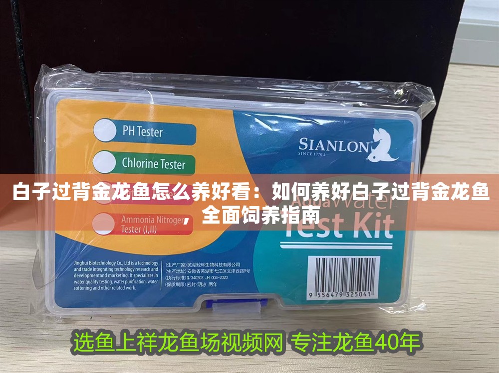 白子過背金龍魚怎么養好看：如何養好白子過背金龍魚，全面飼養指南