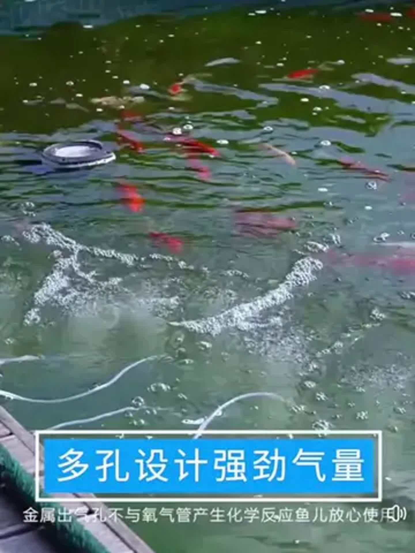 老魚匠和森森增氧泵哪個好