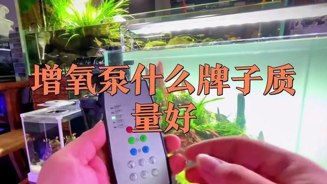 老魚匠和森森增氧泵哪個好