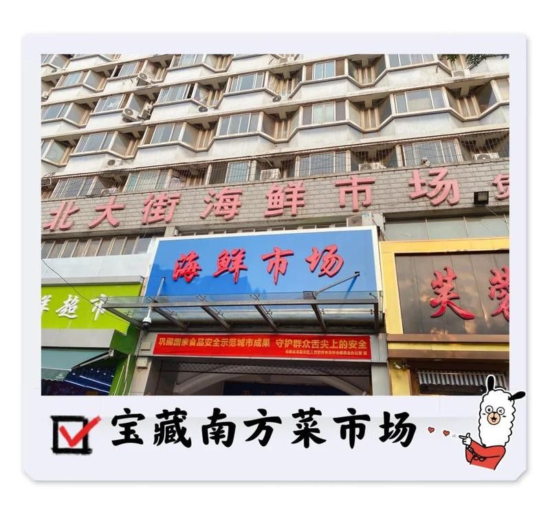 石家莊哪里有賣雷龍魚的市場(chǎng)啊