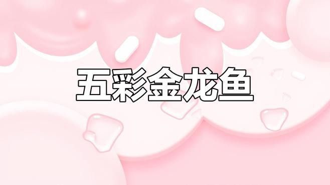 新加坡紅龍魚圖片大全高清壁紙