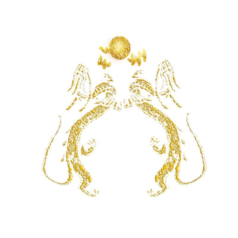 龍圖騰圖片100張