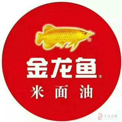 金龍魚門店文員的工作難度：金龍魚門店文員的工作難度：金龍魚門店文員好做嗎？