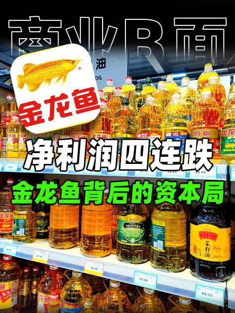 金龍魚在國際市場的表現如何？ 金龍魚在國際市場的表現如何？ 龍魚百科 第2張