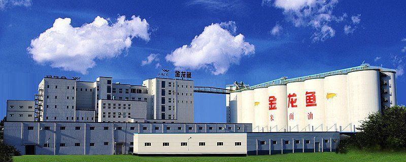 金龍魚中國(guó)總公司在哪里