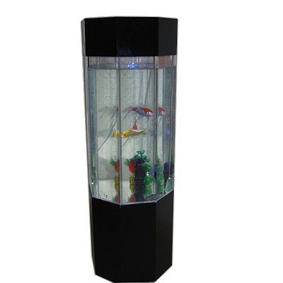 龍魚顏色變淺身體發白：龍魚顏色變淺和身體發白可能是由多種因素引起的