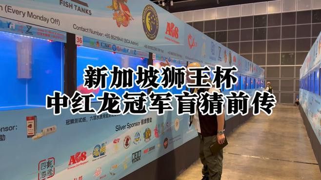 新加坡紅龍魚圖片欣賞大全高清