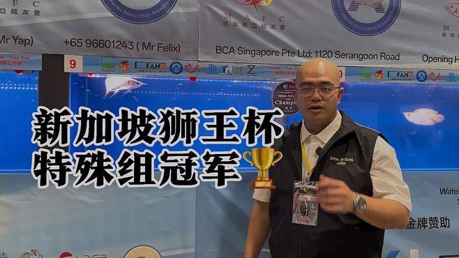 新加坡紅龍魚圖片欣賞大全高清