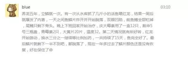 龍魚水泡病會自愈嗎？