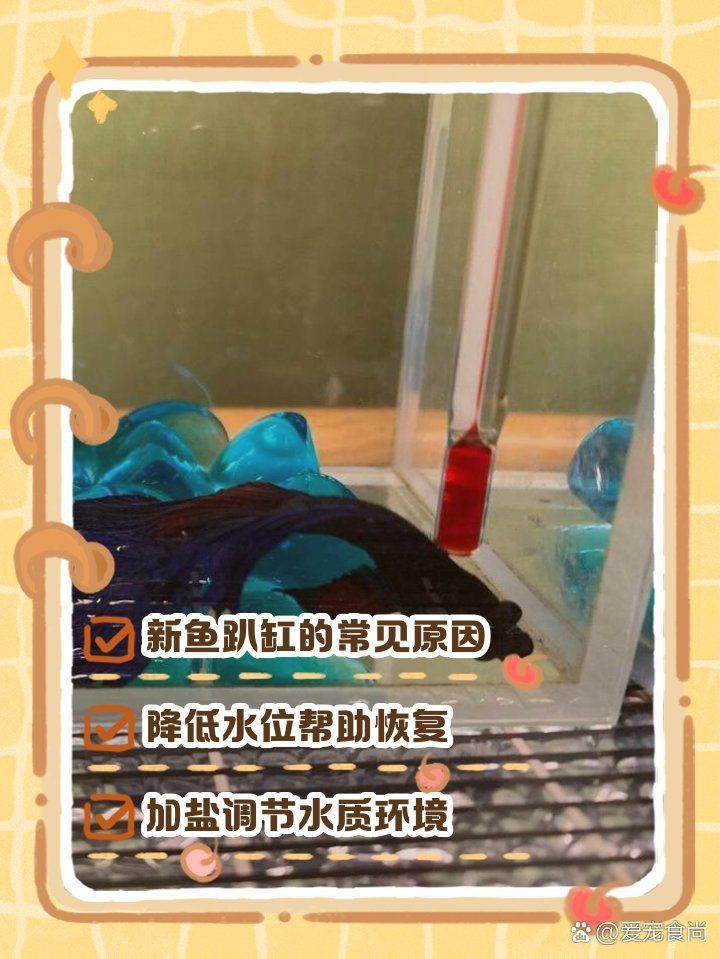 新魚趴缸恢復最快的方法