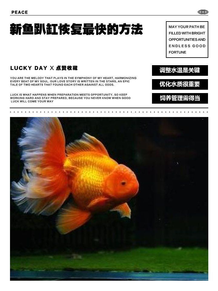 新魚趴缸恢復最快的方法