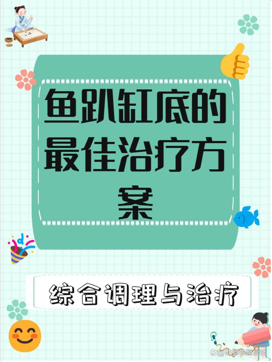 新魚趴缸恢復最快的方法