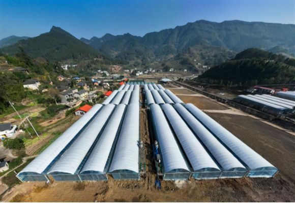 鱸魚養(yǎng)殖在哪里