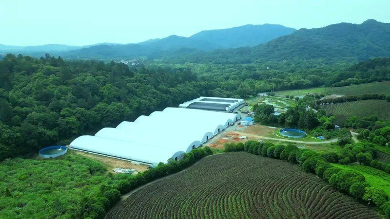 鱸魚養(yǎng)殖在哪里