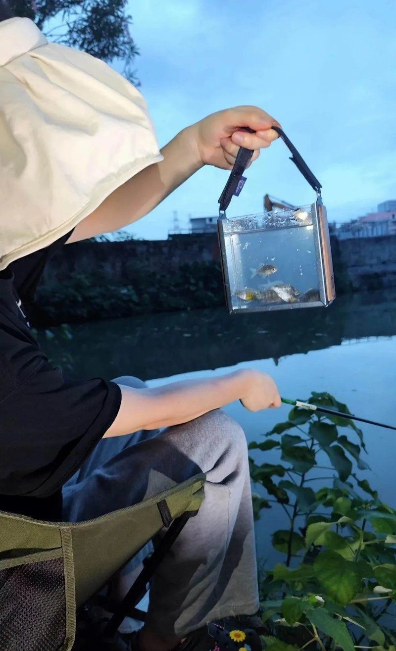 觀魚釣魚裝備推薦 龍魚百科 第1張 觀魚釣魚裝備推薦 觀魚釣魚裝備推薦 龍魚百科 第1張