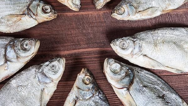 龍魚尾鰭充血會自愈嗎? 龍魚百科 第2張 龍魚尾鰭充血會自愈嗎? 龍魚尾鰭充血會自愈嗎? 龍魚百科 第2張