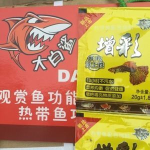 星點龍魚能不能跟地圖鸚鵡混養：澳洲星點龍魚與血鸚鵡魚混養指南，和諧共處的秘訣