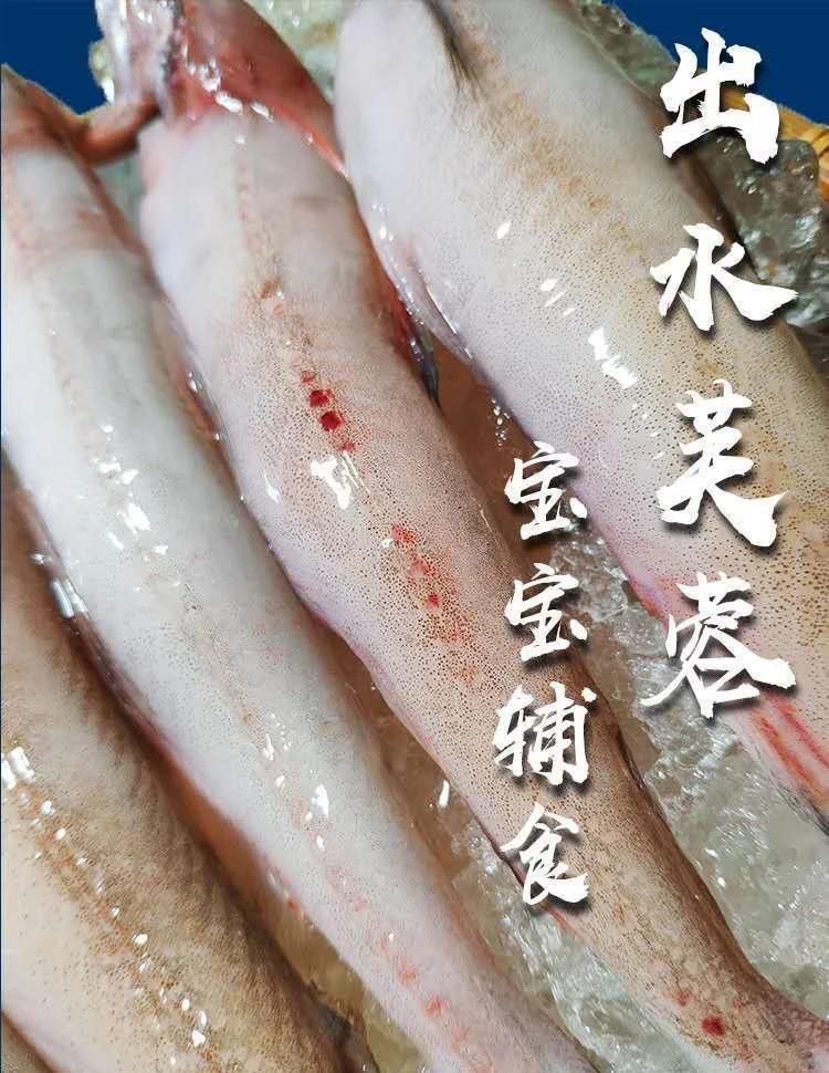 來龍魚是什么海鮮圖片大全