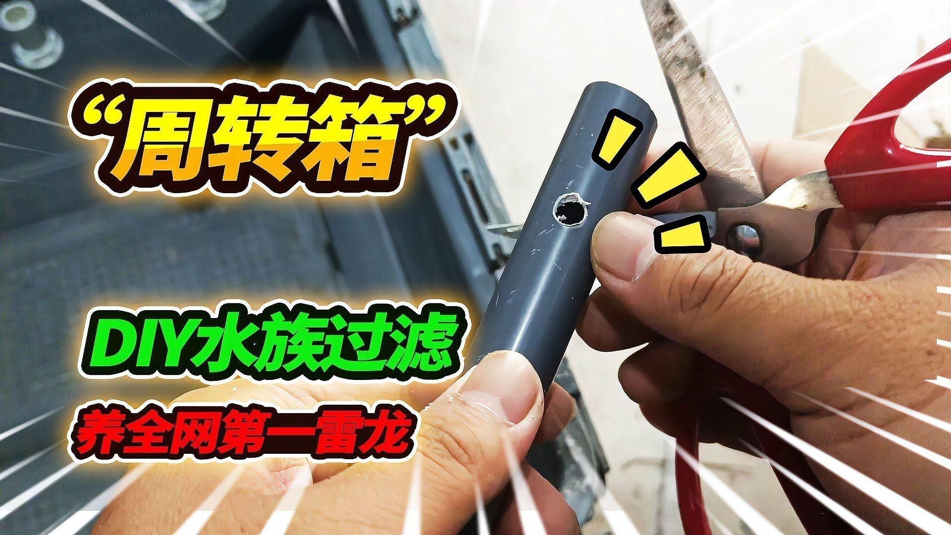 推薦幾款適合雷龍魚的魚缸