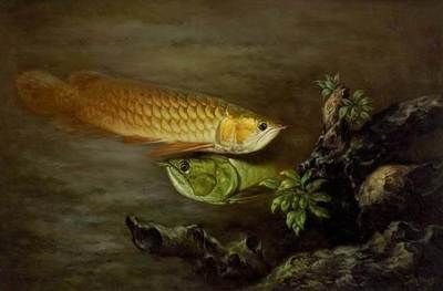 金龍魚吃什么活食最好：關于金龍魚的最佳活食選擇 金龍魚吃什么活食最好：關于金龍魚的最佳活食選擇 龍魚百科 第4張