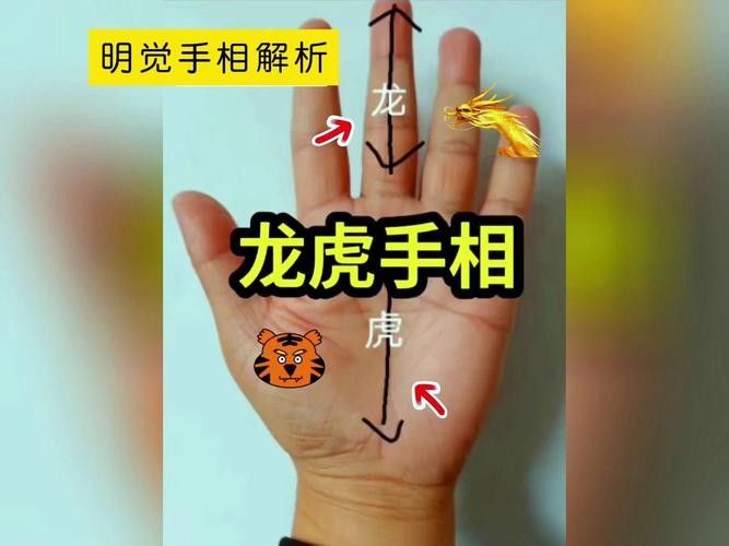 銀龍魚會吃小虎魚嗎圖片
