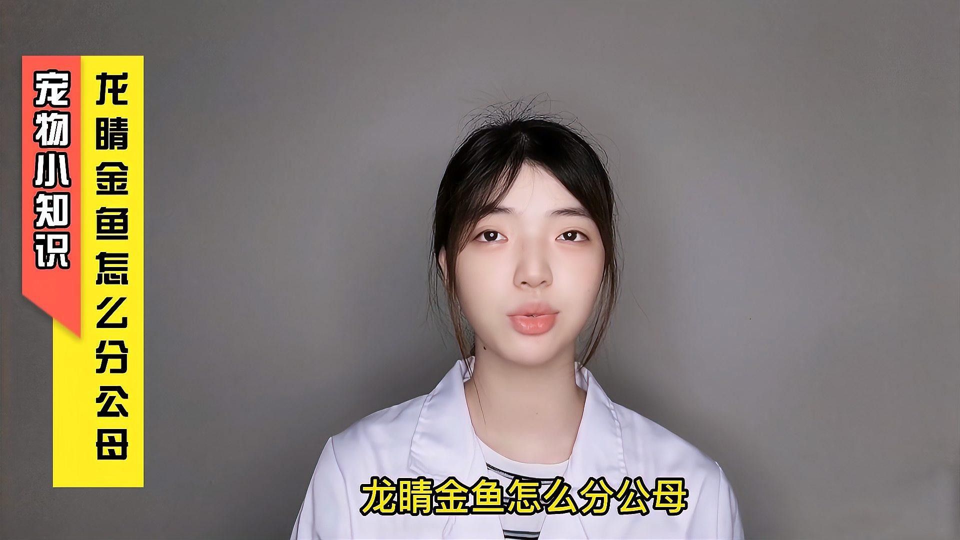 龍睛金魚的價格差異大嗎？