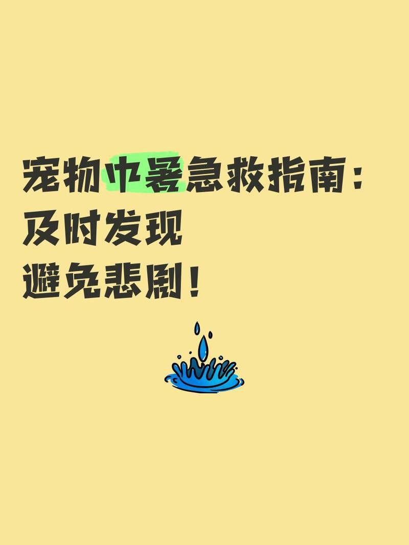 六角恐龍魚中暑后多久會(huì)死 六角恐龍魚中暑后多久會(huì)死 龍魚百科 第3張