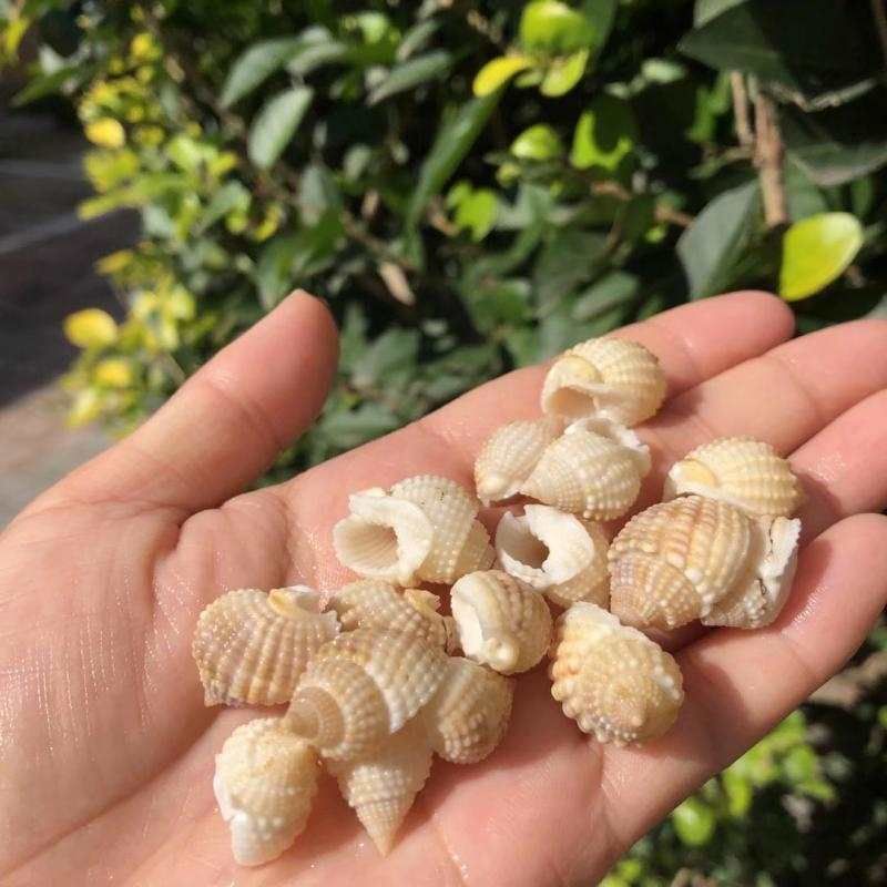 龍魚缸安裝沖浪泵視頻講解：龍魚缸安裝沖浪泵視頻，詳細(xì)步驟與注意事項