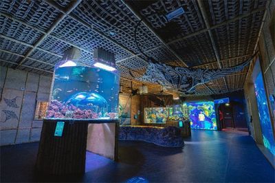 水族館加盟找祥龍魚場可以嗎（關于祥龍魚場提供水族館加盟服務的信息在搜索中并未直接提及）