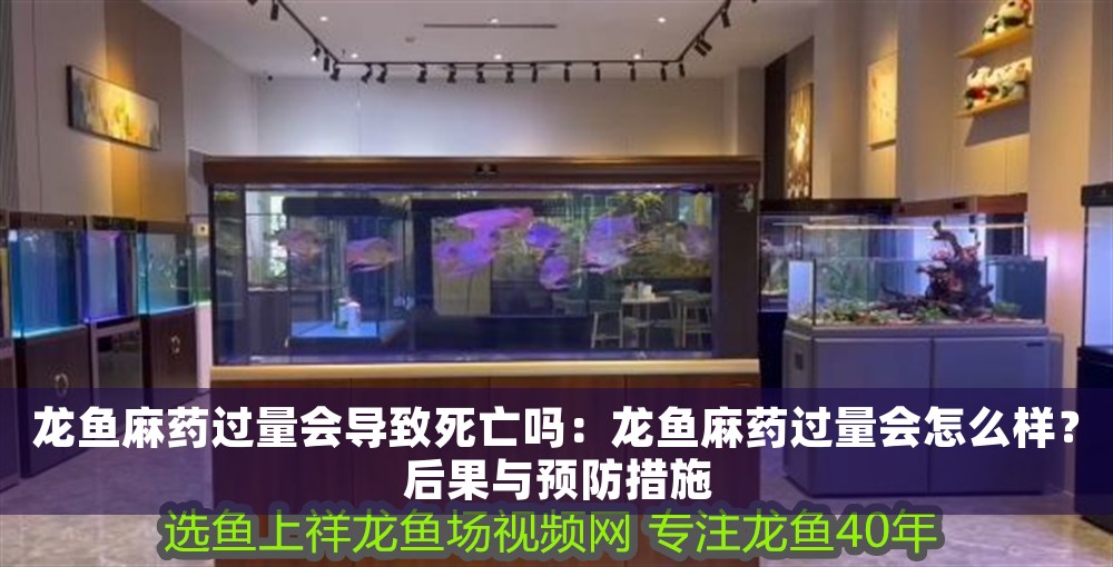 龍魚麻藥過量會導致死亡嗎：龍魚麻藥過量會怎么樣？后果與預防措施