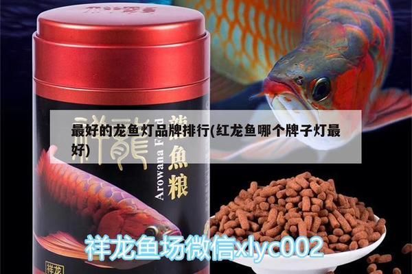 紅龍魚掉眼最嚴重圖片大全大圖視頻播放（紅龍魚掉眼最嚴重圖片大全大圖視頻播放）