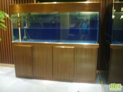 二手龍魚缸多少錢一個：二手龍魚缸多少錢一個一個二手龍魚缸多少錢一個
