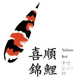 錦鯉緋寫怎么有紅有黃