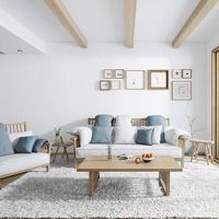 錦鯉緋寫怎么有紅有黃