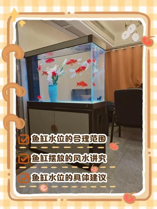 過背金龍魚缸燈光擺放示意圖