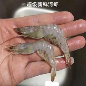 小河蝦跟蝦段哪個(gè)適合龍魚(yú)（小河蝦可以作為龍魚(yú)的合適食物嗎？）