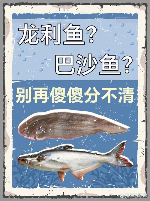 龍利魚和巴沙魚圖片