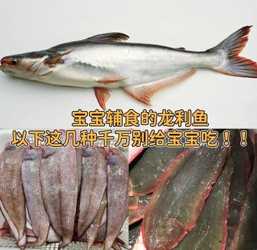 龍利魚和巴沙魚圖片