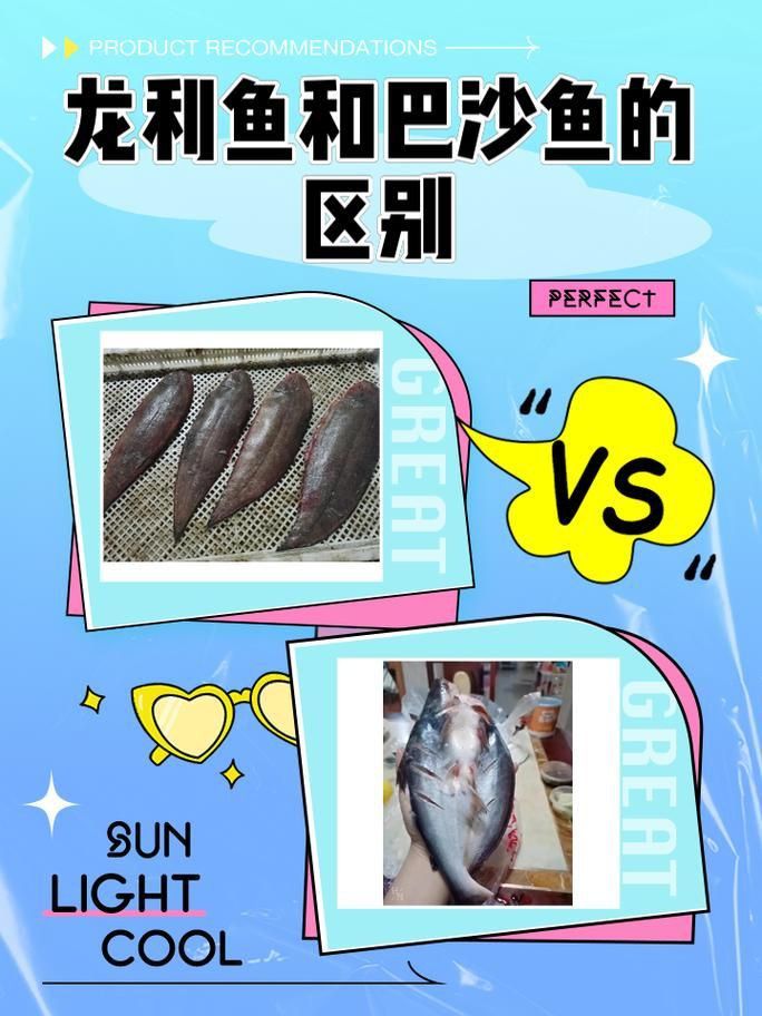 龍利魚和巴沙魚圖片