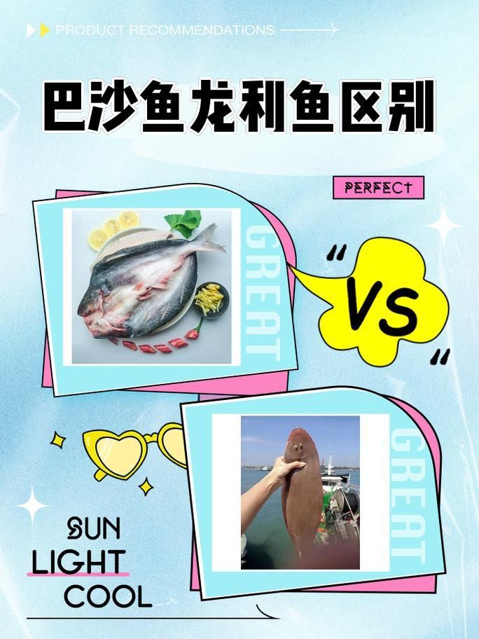 龍利魚和巴沙魚圖片