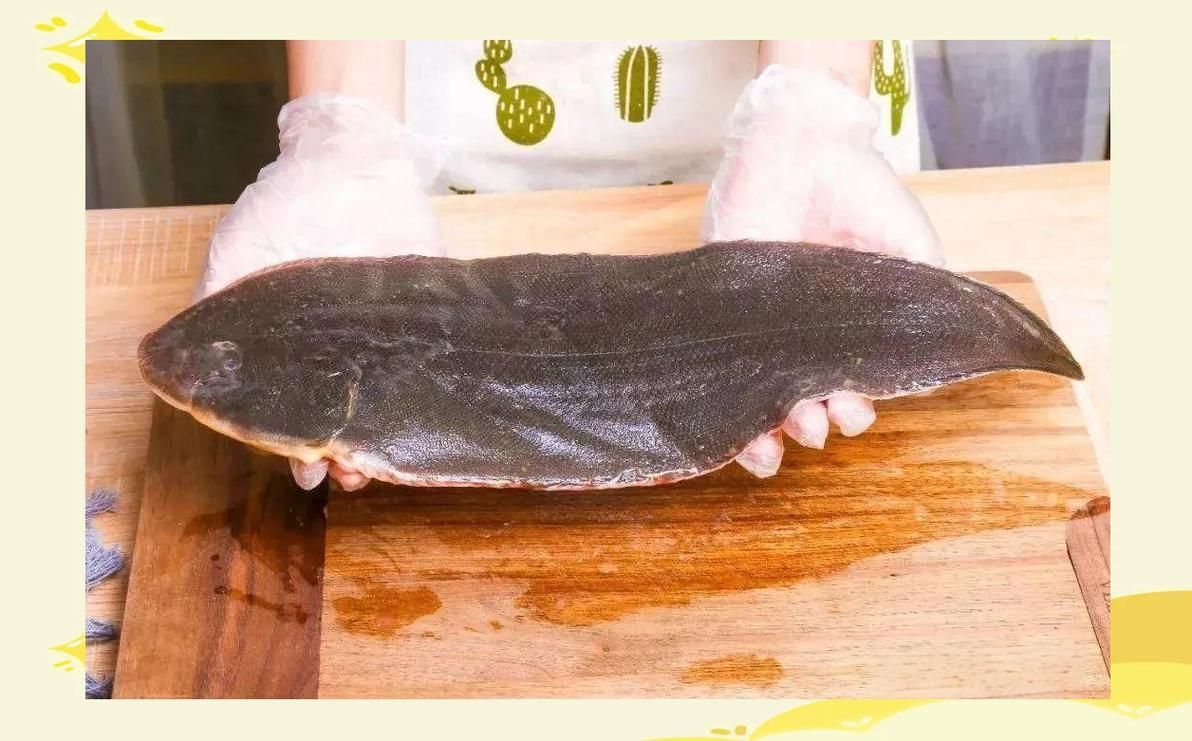 龍利魚和巴沙魚圖片