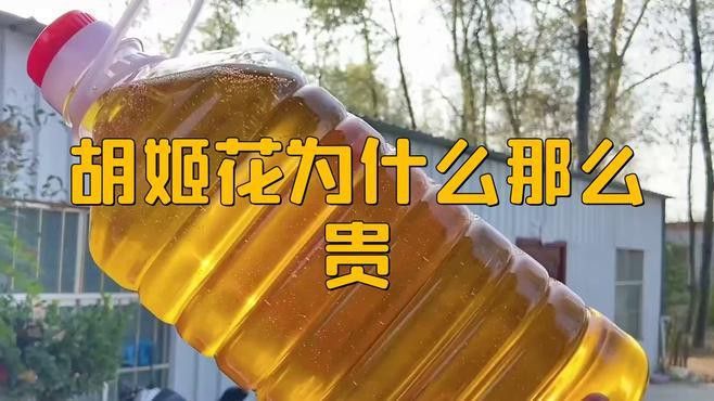 胡姬花和金龍魚的價格差異大嗎？