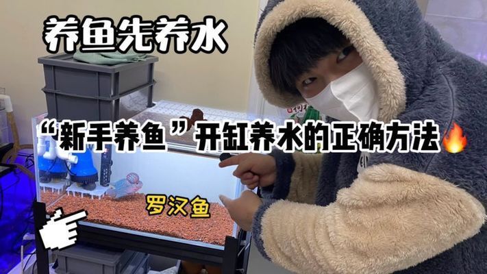 魚缸怎么開缸養(yǎng)水 新手必看（如何選擇合適的闖缸魚？）