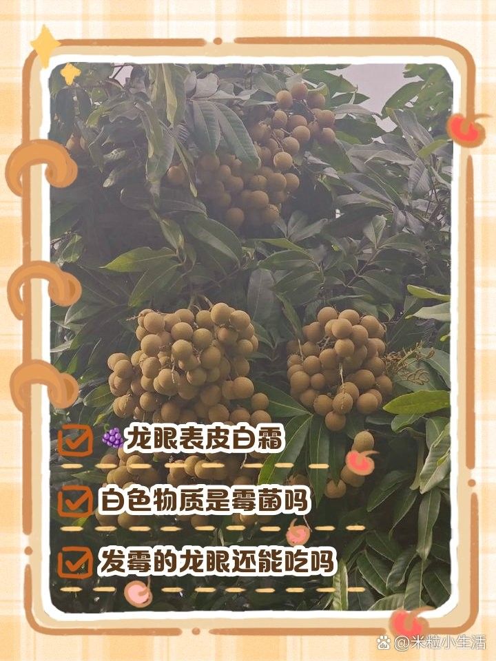 龍眼起白后如何清洗