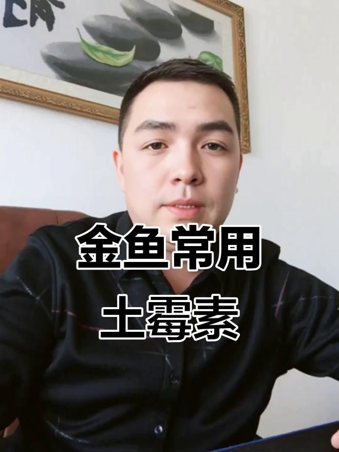 金魚生病了用什么藥最好