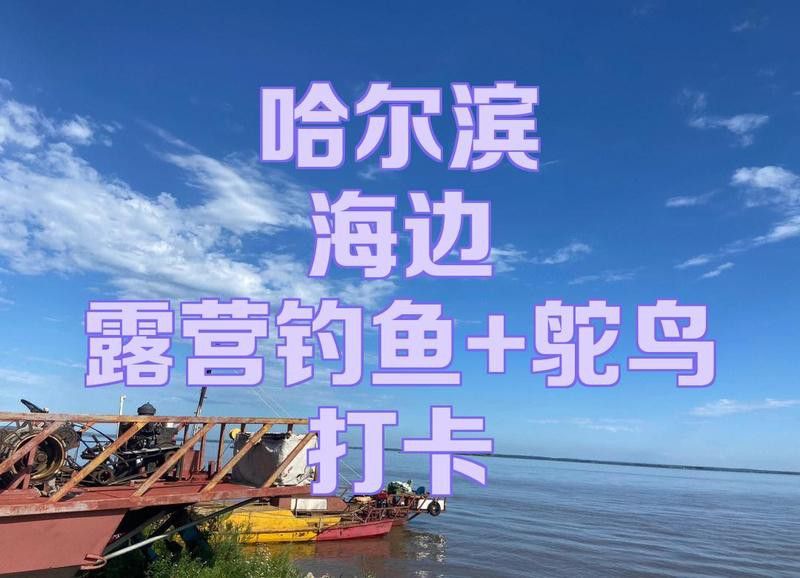 哈爾濱龍魚(yú)灣垂釣園怎么樣啊值得去嗎