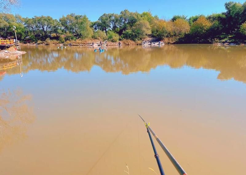 哈爾濱龍魚(yú)灣垂釣園怎么樣啊值得去嗎