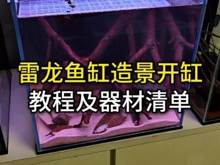 雷龍魚(yú)魚(yú)缸簡(jiǎn)單好看造景圖片大全